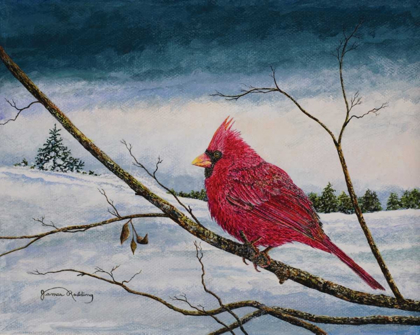 Picture of CARDINAL IN A PASTEL SKY