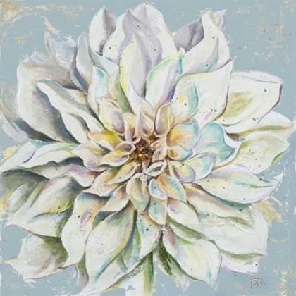 Picture of COOL DAHLIAS II