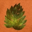 Picture of LEAF ON TEAL BURLAP