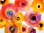 Picture of PEACHY FLORAL