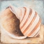 Picture of SEASHELL COLLECTION I