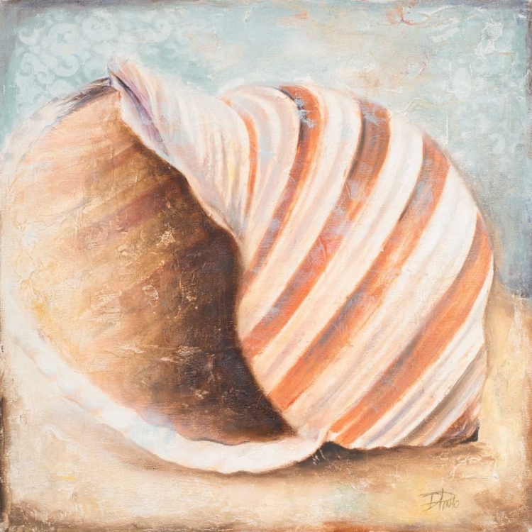 Picture of SEASHELL COLLECTION I