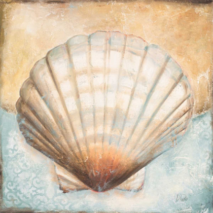Picture of SEASHELL COLLECTION III