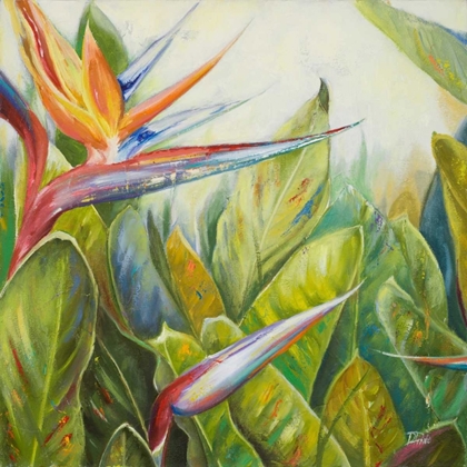 Picture of BIRD OF PARADISE II