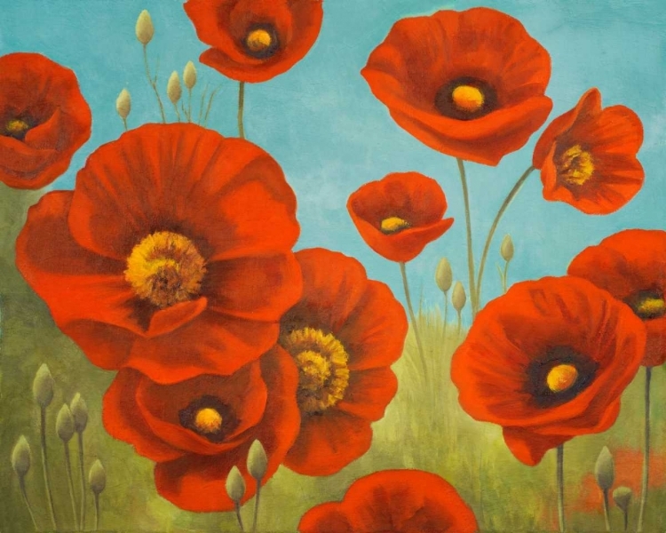 Picture of FIELD OF POPPIES I