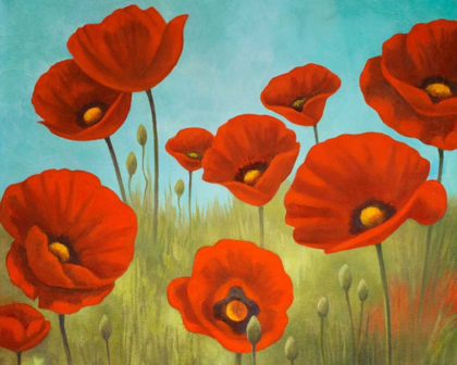 Picture of FIELD OF POPPIES II