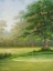 Picture of AMACOY GREEN II
