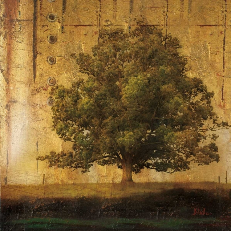 Picture of AGED TREE I