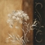 Picture of DELICATE BEAUTY II