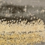 Picture of GOLD WINDS SQUARE II