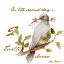 Picture of TWO TURTLE DOVES
