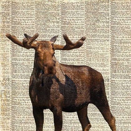 Picture of COUNTRY MOOSE I