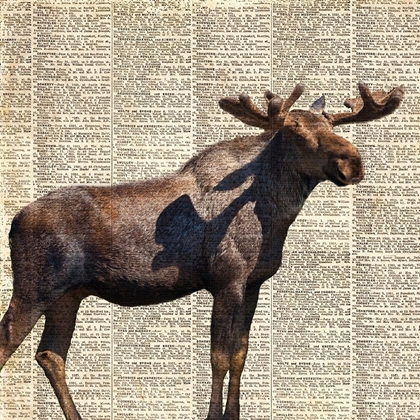 Picture of COUNTRY MOOSE II