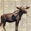 Picture of COUNTRY MOOSE II
