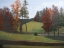 Picture of COUNTRY ROAD II