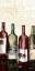 Picture of WINE TYPOGRAPHY II