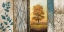 Picture of THE WAY OF NATURE I