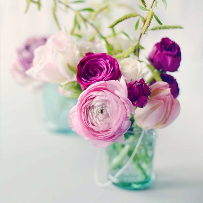 Picture of PINK RANUNCULUS