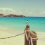 Picture of ISLAND VACATION II