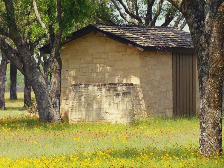 Picture of COUNTRY MEADOW I