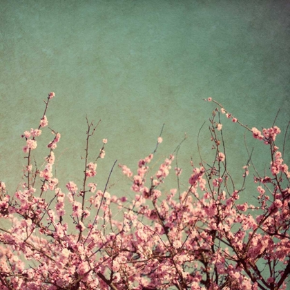 Picture of SPRINGTIME I