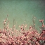 Picture of SPRINGTIME I