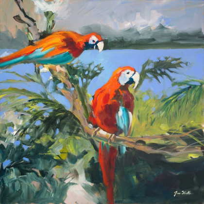 Picture of PARROTS AT BAY II