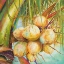 Picture of PATRICIAS COCONUTS I
