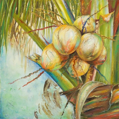 Picture of PATRICIAS COCONUTS II