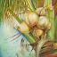 Picture of PATRICIAS COCONUTS II