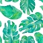 Picture of AQUA LEAVES ON WHITE