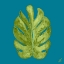 Picture of LEAF ON TEAL I