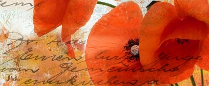 Picture of POPPIES COMPOSITION III