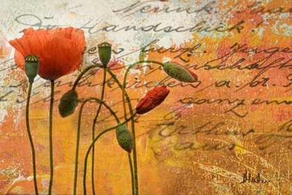 Picture of POPPIES COMPOSITION I