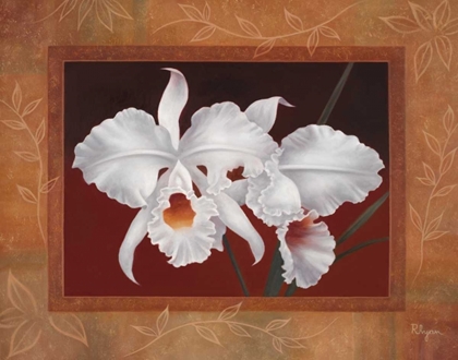 Picture of WHITE ORCHIDS
