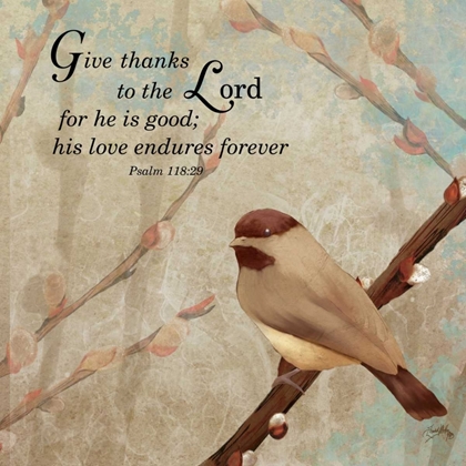 Picture of GIVE THANKS