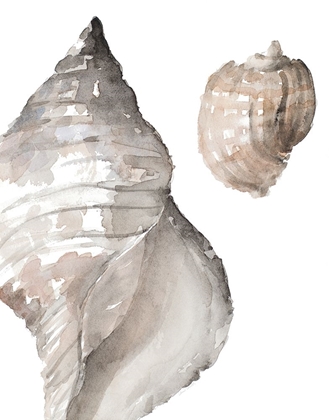 Picture of TONAL SHELL I