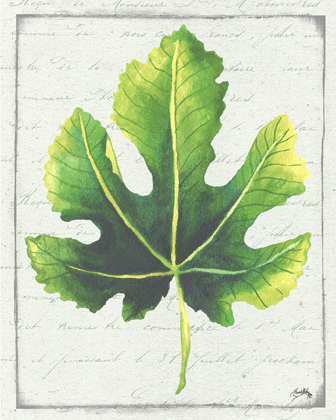 Picture of EMERALD LEAF I