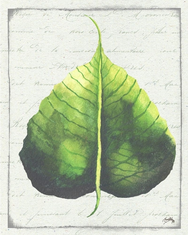 Picture of EMERALD LEAF II