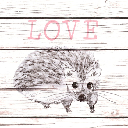 Picture of HEDGEHOG LOVE