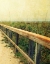 Picture of BEACH RAILS II