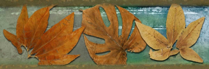 Picture of LEAF PANEL III