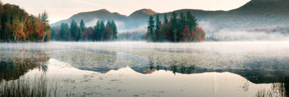 Picture of LEFFERTS POND