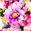 Picture of MAGICAL GARDEN FLORAL SQUARE
