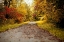 Picture of QUIET AUTUMN PATH