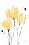 Picture of YELLOW SWAY