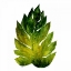 Picture of GREEN LEAVES SQUARE I