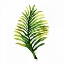 Picture of GREEN LEAVES SQUARE II