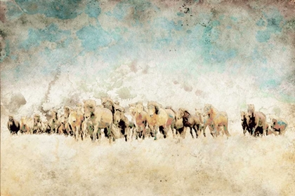 Picture of ROAMING HORSES