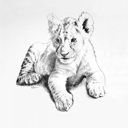 Picture of LION